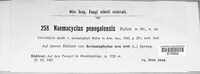 Naemacyclus penegolensis image
